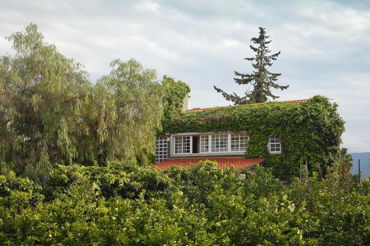 La Casa Verde Murcia Exterior photo